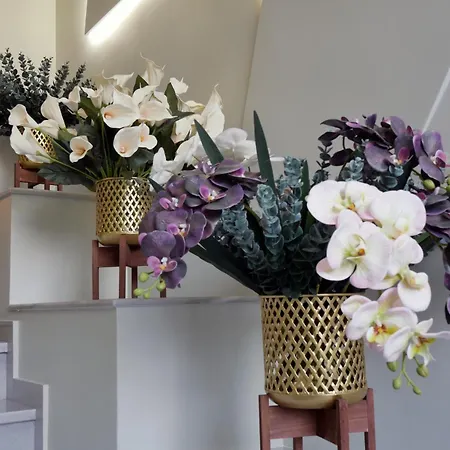 Adas Aura - Boutique In Old Town *