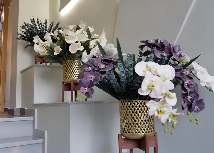 Adas Aura - Boutique In Old Town *